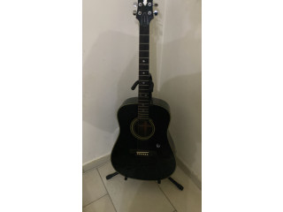 Chitarra acustica funzionante