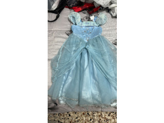 Vestito di Carnevale Cenerentola