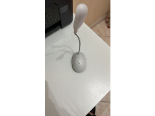 Piccola luce a Led da scrivania