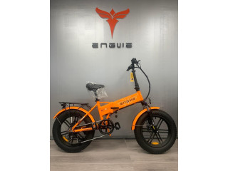FAT BIKE PIEGHEVOLE EP2 750w 48v NUOVO