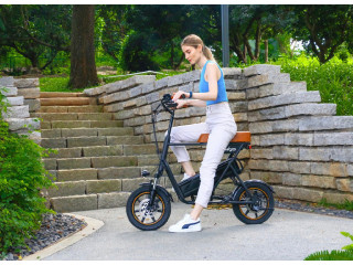 EBIKE ELETTRICA WINDGOO 250w F1 NUOVO