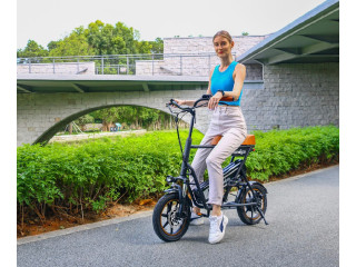 EBIKE ELETTRICA WINDGOO 250w F1 NUOVO