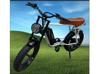 FAT BIKE V30 250w BATTERIA 16ah NUOVO