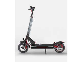 MONOPATTINO ENGWE Y600 48v 18Ah NUOVO