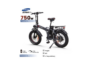 FAT BIKE PIEGHEVOLE 750w 48v 20AH NUOVO